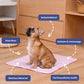 🔥Summer Hot Sale 49% OFF🧊Premium Cooling Mat For Pet🐶😼