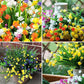 🔥Hot Sale - 49% OFF🔥Outdoor Artificial Flowers💐