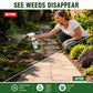 🥳2026 HOT SALE🥳💞50K+ SOLD! 🌿🛡️ 50% OFF! ⚡ [Easy and stress-free weeding in the garden] Herbicide for domestic use