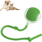 🔥Christmas Hot Sale 49% OFF 🎁Smart Interactive Pet Toy Ball
