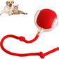 🔥Christmas Hot Sale 49% OFF 🎁Smart Interactive Pet Toy Ball