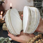 Abalone shell/Lion’s Paw shell/Scallop Shell journal