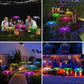 🪸New Hot Sale 50% Off🔥Solar Garden Lamp – Color-Changing Jellyfish Lamp🪼