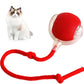 🔥Christmas Hot Sale 49% OFF 🎁Smart Interactive Pet Toy Ball