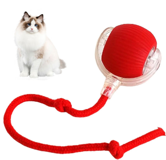 🔥Christmas Hot Sale 49% OFF 🎁Smart Interactive Pet Toy Ball