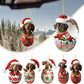 🎅2024 Christmas Dachshund Advent Calendar🎁