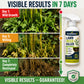 🥳2026 HOT SALE🥳💞50K+ SOLD! 🌿🛡️ 50% OFF! ⚡ [Easy and stress-free weeding in the garden] Herbicide for domestic use