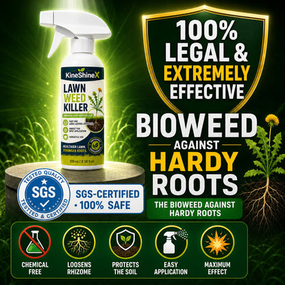 🥳2026 HOT SALE🥳💞50K+ SOLD! 🌿🛡️ 50% OFF! ⚡ [Easy and stress-free weeding in the garden] Herbicide for domestic use