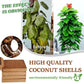 🌱Hot Sale 50% OFF⏰ - Premium Organic Coconut Coir Bricks For Plants