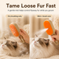 🔥50% Off Hot Sale🎁Rechargeable Pet Spray Massage Comb🐈🐕