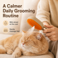 🔥50% Off Hot Sale🎁Rechargeable Pet Spray Massage Comb🐈🐕