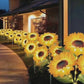 🌻Factory Direct Sales 49% Off !- 🌞Solar LED Sunflower Garden Lights🌻