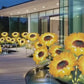 🌻Factory Direct Sales 49% Off !- 🌞Solar LED Sunflower Garden Lights🌻