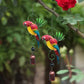49% Off🐦Parrot Wind Chime Hanging Decoration