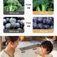 🔥2024 Kitchen Hot Sale🔥Intelligent Fruit and Vegetable Purifier