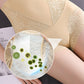 🔥Promotion ends soon🔥Women’s Butt-Lifting Tummy-Control High-Waist Panties❤️‍🔥