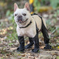 Waterproof Boots for Pets