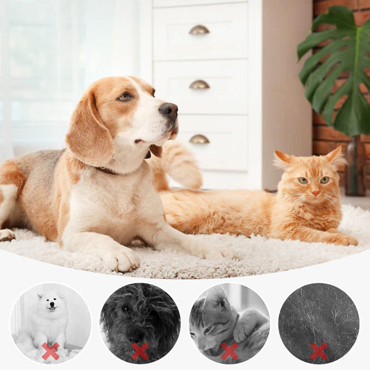 🔥Last Day Promotion 49% OFF-Pet Spray Hair Removal Comb