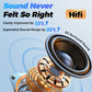🎧Hot Sale 50% OFF🔥AI Voice Translation Bluetooth Earbuds
