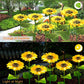 🌻Factory Direct Sales 49% Off !- 🌞Solar LED Sunflower Garden Lights🌻