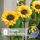 🌻Factory Direct Sales 49% Off !- 🌞Solar LED Sunflower Garden Lights🌻