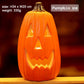Jabberin' Jack 12" Animated Talking & Singing Pumpkin