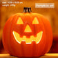 Jabberin' Jack 12" Animated Talking & Singing Pumpkin