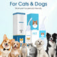 🐾 BUY 1 GET 1 FREE! 🔥 Pet Ear Cleaner – Natural plant extracts – 68K+ sold – gentle, safe for dogs & cats – helps prevent infections 🌿🐶✨