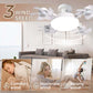 🔥Hot Sale 49% Off Only Today🚀Remote-Controlled LED Ceiling Fan Light🍃