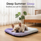 🔥LAST DAY SALE ONLY￡9.99!!❄Pet Cooling Mat for Dogs & Cats 🐾  Naturally Cool Ice-Silk Pad Breathable, Washable & Soft 🌿  For Floors, Sofas & Car Travel Multiple Sizes Gradient Colours ☀️🐶🐱