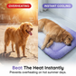 🔥LAST DAY SALE ONLY￡9.99!!❄Pet Cooling Mat for Dogs & Cats 🐾  Naturally Cool Ice-Silk Pad Breathable, Washable & Soft 🌿  For Floors, Sofas & Car Travel Multiple Sizes Gradient Colours ☀️🐶🐱