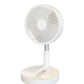 🌬️50% Off Hot Sale❄️Portable Multifunctional Telescopic Floor Fan - Stay Cool Anywhere✨